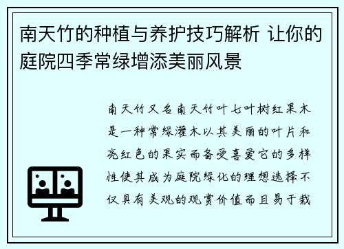 南天竹的种植与养护技巧解析 让你的庭院四季常绿增添美丽风景