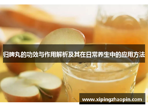 归脾丸的功效与作用解析及其在日常养生中的应用方法