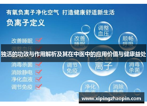 独活的功效与作用解析及其在中医中的应用价值与健康益处