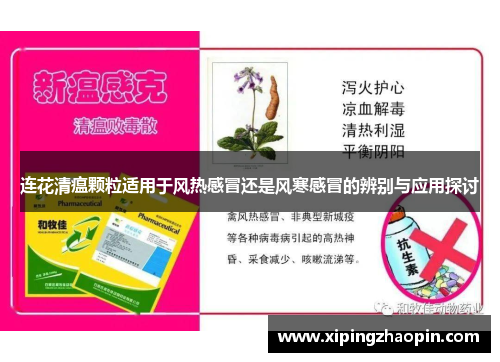 连花清瘟颗粒适用于风热感冒还是风寒感冒的辨别与应用探讨