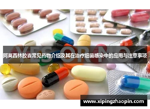 阿莫西林胶囊常见药物介绍及其在治疗细菌感染中的应用与注意事项